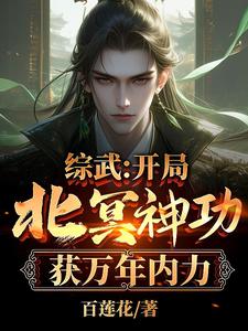 综武：开局北冥神功，获万年内力朱文轩在线章节免费阅读