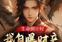 沐白小说免费阅读完整版-有书评