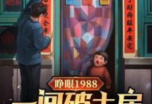 睁眼1988一间破土房俩没娘娃小说全文哪里可以免费看？-有书评
