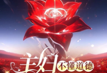 主妇不懂道德只懂法小说无弹窗阅读的网站推荐-有书评
