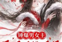 苏青黛秦鼎小说叫什么（锤爆男女主：医妃手撕系统撩暴君完整版免费阅读）-有书评