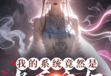 《我的系统竟然是九天玄女》叶沐枫完整版小说免费阅读-有书评
