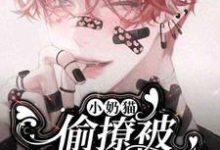 《小奶猫偷撩被影帝盯上了》全集免费在线阅读（陆柯）-有书评