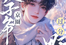 《追老婆！京圈太子爷过分野！》小说免费阅读完整版-有书评