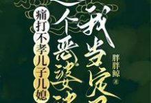 痛打不孝儿子儿媳，这个恶婆婆我当定了秦蓉小说完结版章节在线阅读-有书评