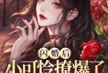 哪里能找到闪婚后，小可怜撩爆了首富大佬小说的最新更新和免费章节？-有书评