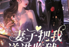 妻子把我送进监狱,她跪求我原谅完整版小说,妻子把我送进监狱,她跪求我原谅最新章节-有书评