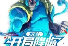 火影：开局降临猿魔圣地袁皓小说在线章节免费阅读-有书评