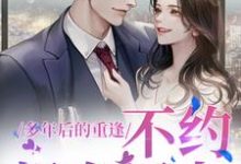 求多年后的重逢，不约，姐有男友小说的全文免费阅读链接-有书评