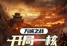万城之战:开局一核开太平小说的无弹窗阅读体验,寻找免费阅读网站-有书评