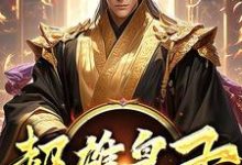 超雄皇子小说无弹窗阅读的网站推荐-有书评