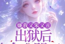 萧潇小说免费阅读完整版-有书评