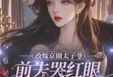 姜栖晚祁深完整版小说免费阅读-有书评