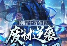 刚结十万金丹,废材逆袭系统来了小说,刚结十万金丹,废材逆袭系统来了在线阅读-有书评