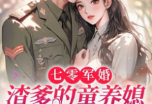 许珞汐展翊驰小说在线章节免费阅读(七零军婚,渣爹的童养媳一窝端无弹窗无删减)-有书评