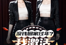 没钱回家过年？我激活0元购系统完整版小说，没钱回家过年？我激活0元购系统最新章节-有书评