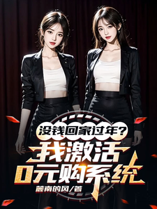 没钱回家过年？我激活0元购系统完整版小说，没钱回家过年？我激活0元购系统最新章节