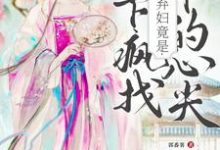 洛知槿陆淮小说叫什么(侯府弃妇竟是陛下疯找十年的心尖完整版免费阅读)-有书评