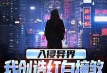 《入侵异界，我创造红白撞煞横扫全球》王锋小说免费阅读完整版-有书评