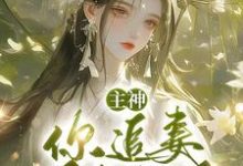 《主神，你追妻又失败了？》完整版小说免费阅读-有书评