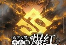 玄学大佬开直播,爆红阴阳两界完整版小说免费阅读,玄学大佬开直播,爆红阴阳两界小说-有书评