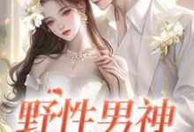 江妄黎之恩小说野性男神宠上瘾完整版阅读-有书评