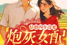 苏青青陆长征小说完整版《结婚四年没见,炮灰女配她不离了》免费阅读-有书评