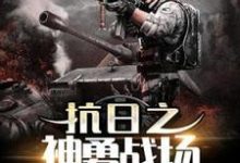 李云小说完整版《抗日之神勇战场》免费阅读-有书评