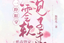 完整版小说《一睁眼穿六零软包子手撕恶毒婆家》免费阅读-有书评