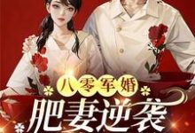 八零军婚，肥妻逆袭又飒又软小说，八零军婚，肥妻逆袭又飒又软在线阅读-有书评
