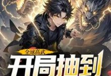 全球高武，开局抽到荒古圣体许天小说完结版章节在线阅读-有书评