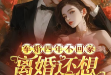 军婚四年不回家,离婚还想不离床小说完结了吗?在哪里可以免费读到?-有书评