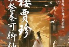 贾珍小说红楼贾珍:开局献祭秦可卿仙魂在线阅读章节-有书评