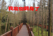 沈知意宋鹤年小说《70穿书,我废物翻身了》完整版免费阅读-有书评