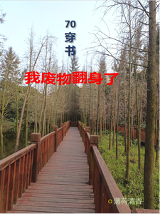 沈知意宋鹤年小说《70穿书，我废物翻身了》完整版免费阅读