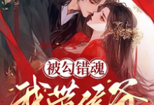 辛珑萧惊鹤完整版《被勾错魂,我带侯爷搬空京城流放》小说免费阅读-有书评