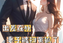 出差在外妻子被扫黄抓了小说的所有章节都能在哪里免费读到?-有书评
