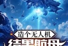 完结版《造个无人机,结果航母上天了?》章节目录在线阅读-有书评