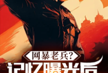 完结版《网暴老兵?记忆曝光后全网泪崩!》章节阅读-有书评