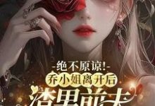 乔南希小说《绝不原谅！乔小姐离开后，渣男前夫悔不当初》完整版免费阅读-有书评