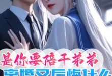 是你要陪干弟弟,离婚又后悔什么小说全文哪里可以免费看?-有书评