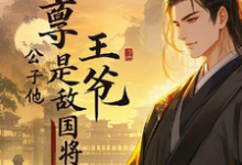 谢云川萧煜小说完结版在线阅读，启禀王爷，公子他是敌国将军免费看-有书评