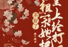 慕青沅小说免费阅读完整版-有书评