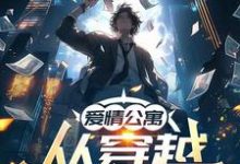 《爱情公寓:从穿越火线开始》完整版小说免费阅读-有书评