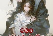 完结版《假死后,糙汉夫妖孽儿,凶猛跪追》章节阅读-有书评