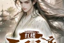 红楼:天下文豪小说完结版章节免费阅读-有书评