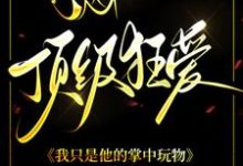 求顶级狂爱:我只是他的掌中玩物小说免费资源-有书评