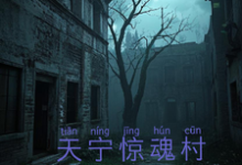 天宁村惊魂冰浩小说免费阅读-有书评