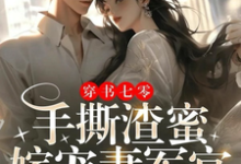 小说完整版《穿书七零:手撕渣蜜,嫁宠妻军官》免费阅读-有书评