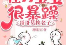 洛言柒七七小说完整版《怪力宝宝很暴躁,哥哥莫挨老子》免费阅读-有书评